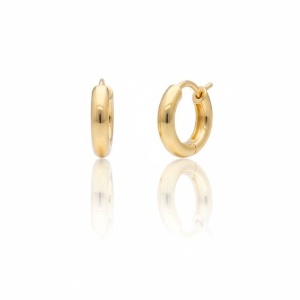 Brinco Argola 10 mm Aberta