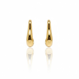 Brinco Argola Organico Oval Lisa