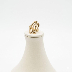 Anel Orgânico Regulagem