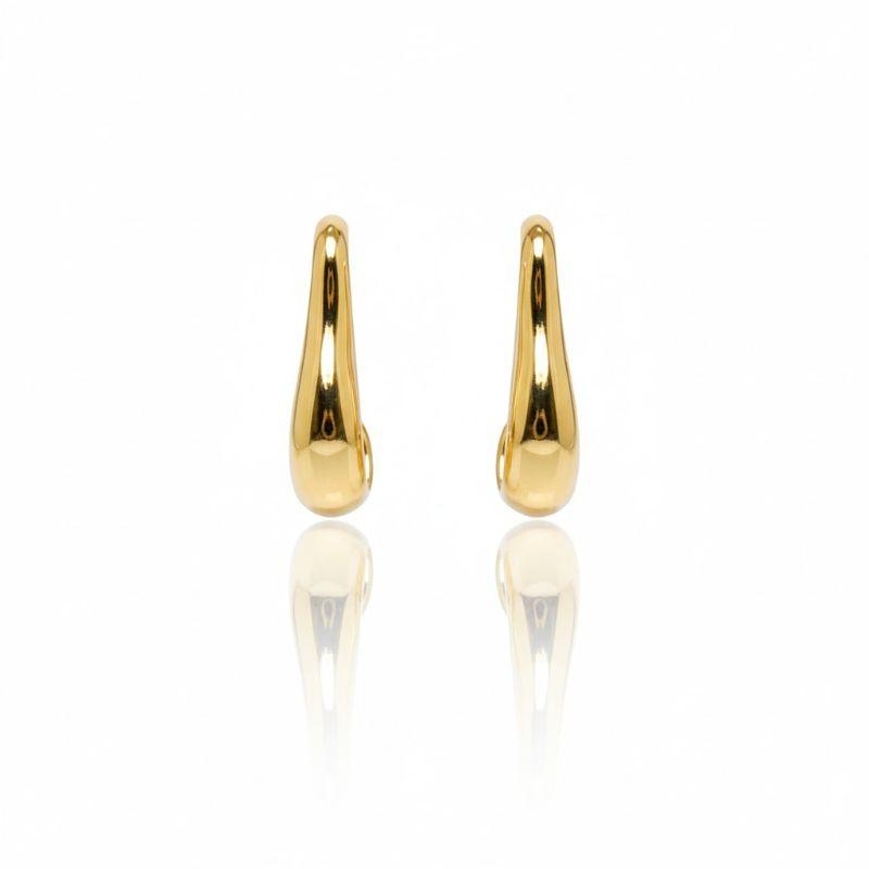 Brinco Argola Organico Oval Lisa