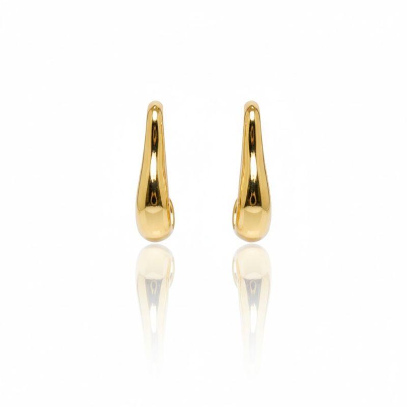 Brinco Argola Organico Oval Lisa